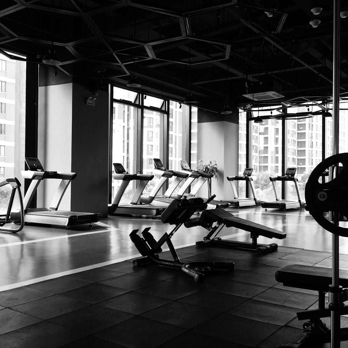 High Protein — Upper Strength